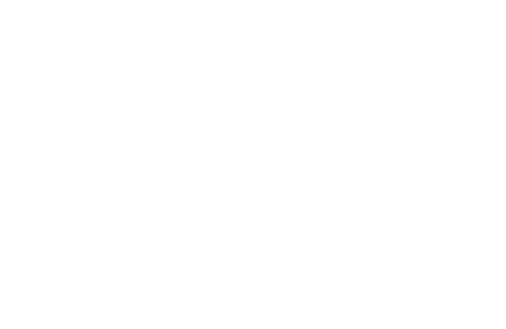 logo donpa n